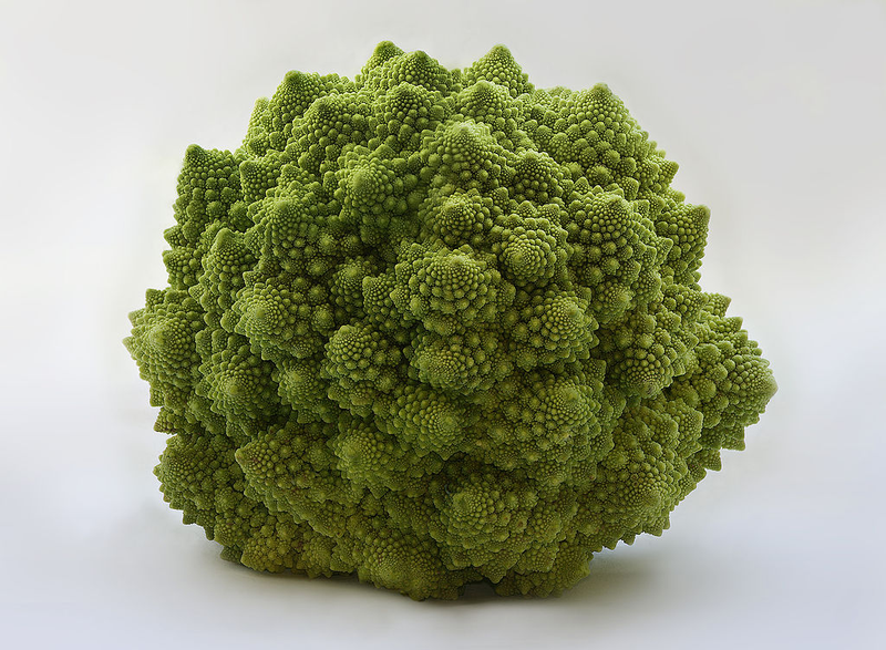 Illustration for article titled Incredible Photographs of Fractals Found in the Natural World